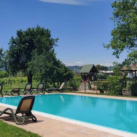 Agriturismo L'Albara - Wines, Pool & Spa Villaganzerla Luaran gambar