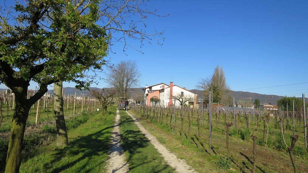 Agriturismo L'Albara - Wines, Pool & Spa Villaganzerla Luaran gambar