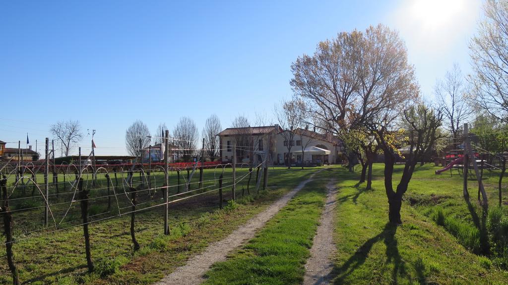 Agriturismo L'Albara - Wines, Pool & Spa Villaganzerla Luaran gambar