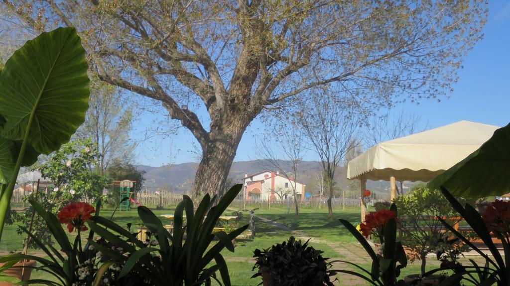 Agriturismo L'Albara - Wines, Pool & Spa Villaganzerla Luaran gambar